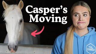 My horse Casper is MOVING!? This Esme