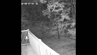 Backyard cam in Maine