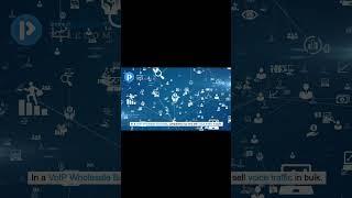 What is VoIP Wholesale Business?