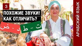 Урок 3. Буквы د - ض  Буквы ت – ط   Как различать похожие звуки в арабском алфавите?