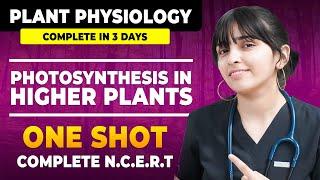 Photosynthesis in higher Plants  in One Shot Class 11 NCERT | NEET 2024