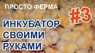 Просто ферма #3 | Инкубатор своими руками | Обзор