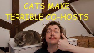 Cats Make Terrible Co-Hosts