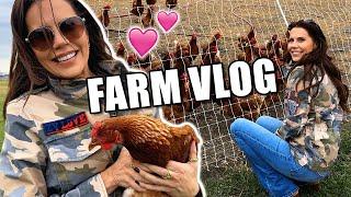 Buying a Farm? ... Here's My Vlog!