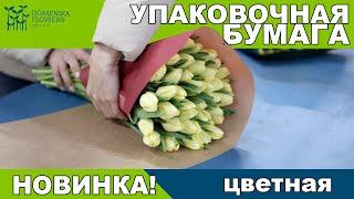 НОВИНКА! Цветная бумага для упаковки ТЮЛЬПАНА.