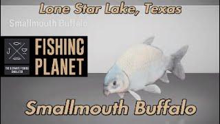 Smallmouth Buffalo Lone Star Lake Texas Fishing Planet Guide