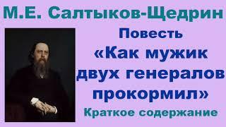 М.Е. Салтыков-Щедрин. Повесть «Как мужик двух генералов прокормил». Краткое содержание.