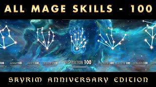 How to Level Up ALL MAGE SKILLS - 100 | 2024 | Fastest Method | Skyrim Anniversary Edition