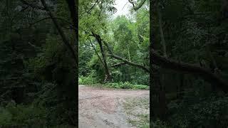 Tree hung up  #SiouxCity #stonepark #siouxcitytreeco #treeservice #trees #iowa
