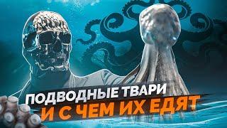 Подводные твари и с чем их едят - Готовим вместе с Мориарти