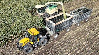 KRONE BIG X 780 am Mais häckseln / FENDT 927, VALTRA T215, CASE PUMA 220, JOHN DEERE 7530 & JCB 3230