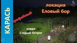 Русская рыбалка 4 - озеро Старый Острог - Карась трофейный золотой за бродом