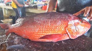 FRESH GIANT RED SNAPPER FISH CUTTING IN INDONESIA FISH MARKET || FISH CUTTING SKILLS