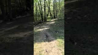 Hidden Path to Comma Pond, Moscow, Russia, 24.04.2025