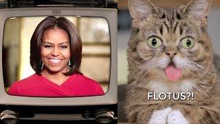 Lil BUB's Big SHOW Episode 13: Michelle Obama