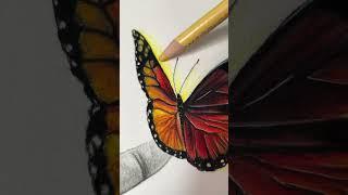 Butterfly Drawing  | #art #realistic #sketch #God #drawing #realism