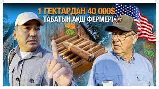 1 гектардан 40 000$  табатын АҚШ фермері