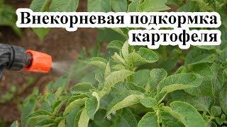 Внекорневая подкормка картофеля