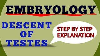 DESCENT OF TESTES : EMBRYOLOGY