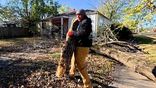 DEAD Tree Falls On Elderly Lady's CAT So We Did This To Help Her Out