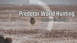 Coyote Hunting - PWH Season 1 Episode 7 - Mixed Bag