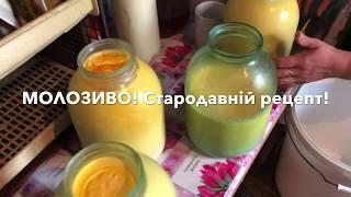 МОЛОЗИВО! ВІТАМІННИЙ ПРОДУКТ! Стародавній РЕЦЕПТ! Життя в селі