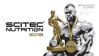Scitec in 2019