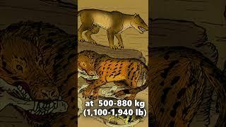 The Bone Crushing Beast of the Miocene