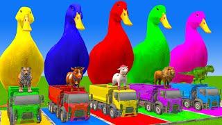 5 Giant Duck Cartoon,Cow,Elephant,Tiger,Lion,Dinosaur,Paint Wild Animals Crossing Fountain Animation