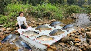 Full video 60 days Ana made unique fish traps. And caught a lot of big fish. | Ana fishing