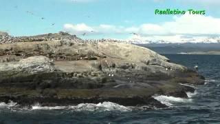 Reallatino Tours- Bootsfahrt auf dem Beagle Kanal, Ushuaia, Argentinien