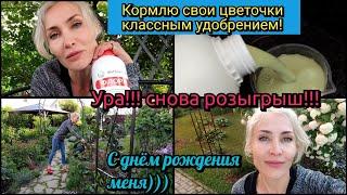 Супер удобрение! Фитактив Флора. Розыгрыш. Прогулка по саду. Розы, клематисы, сад.