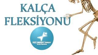 Kalça Fleksiyonu (Hip Flexion)