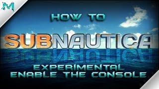 Subnautica How to Enable the Console Commands and Experimental!