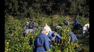 Vendanges Rosé 2024