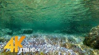 Underwater of the Adriatic Sea - 4K Nature Relax Video + Relaxing Music