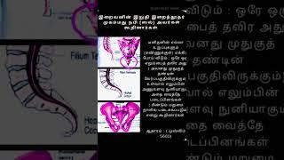 ⁉️Tamil Hadees // Tamil Bayan // Daily Dawah // #quotes #shorts