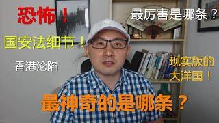 周周侃：详解恐怖国安法！现实版1984，最“2”条款是哪条？习近平管全宇宙，谁是第一个违法者？（国安法解读 上）