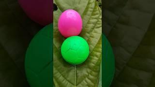 wow pink egg on the leaf #egg #eggs #memes #music #beats