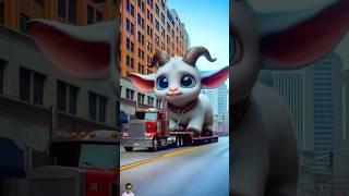  Evolution of Sigma : going to goat on the truck  MM MILKY  #cat #love #cute #shorts
