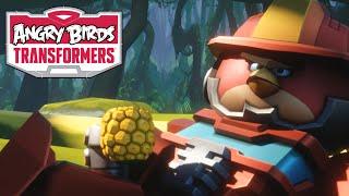 Angry Birds Transformers – Best Buddies