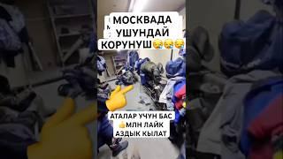 АТАЛАР УЧУН  #тикток #тиктокнутая #дуэт #лошадки #той #прикол #моялошадь #тренд #horse