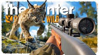 I can ONLY use a SHOTGUN (ᵗᵘʳⁿᶦⁿᵍ ᵇᶦʳᵈˢ ᶦⁿᵗᵒ ʳᵉᵈ ᵐᶦˢᵗ) | theHunter: Call of the Wild