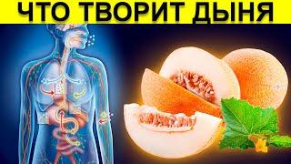 Что Дыня делает с организмом? Дыня – Польза и Вред! | Смотри и Знай