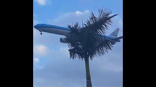  Boeing KLM B777 Landing                     #shorts #klm #b777 #gruairport #amsterdam