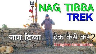 Nag tibba trek complete information / nag tibba trek - How to Reach, Stay, Food & Night Trek