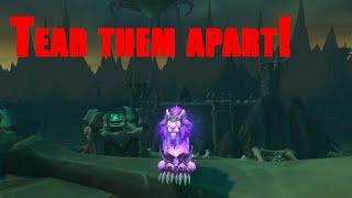 Tear them apart! - Feral druid pvp dragonflight 10.2.6