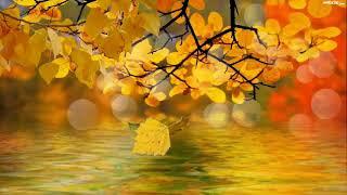 Футаж для осени Autumn footage