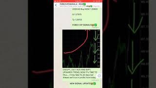 HOW OUR FOREX SIGNALS MADE OVER $8000 IN ONE HOUR - FOREXVIPSIGNALS