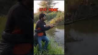 Live#snake head#catching#niyaz bhai #
